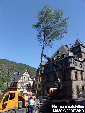 Maibaumaufstellen  auf dem Marktplatz in Oberwesel.